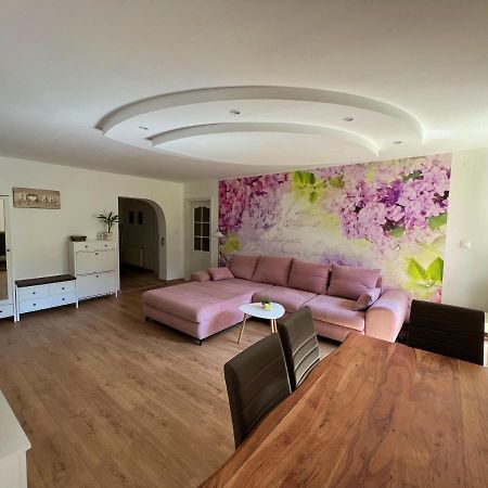 Apartman Stara Sasova 班斯卡-比斯特里察 外观 照片