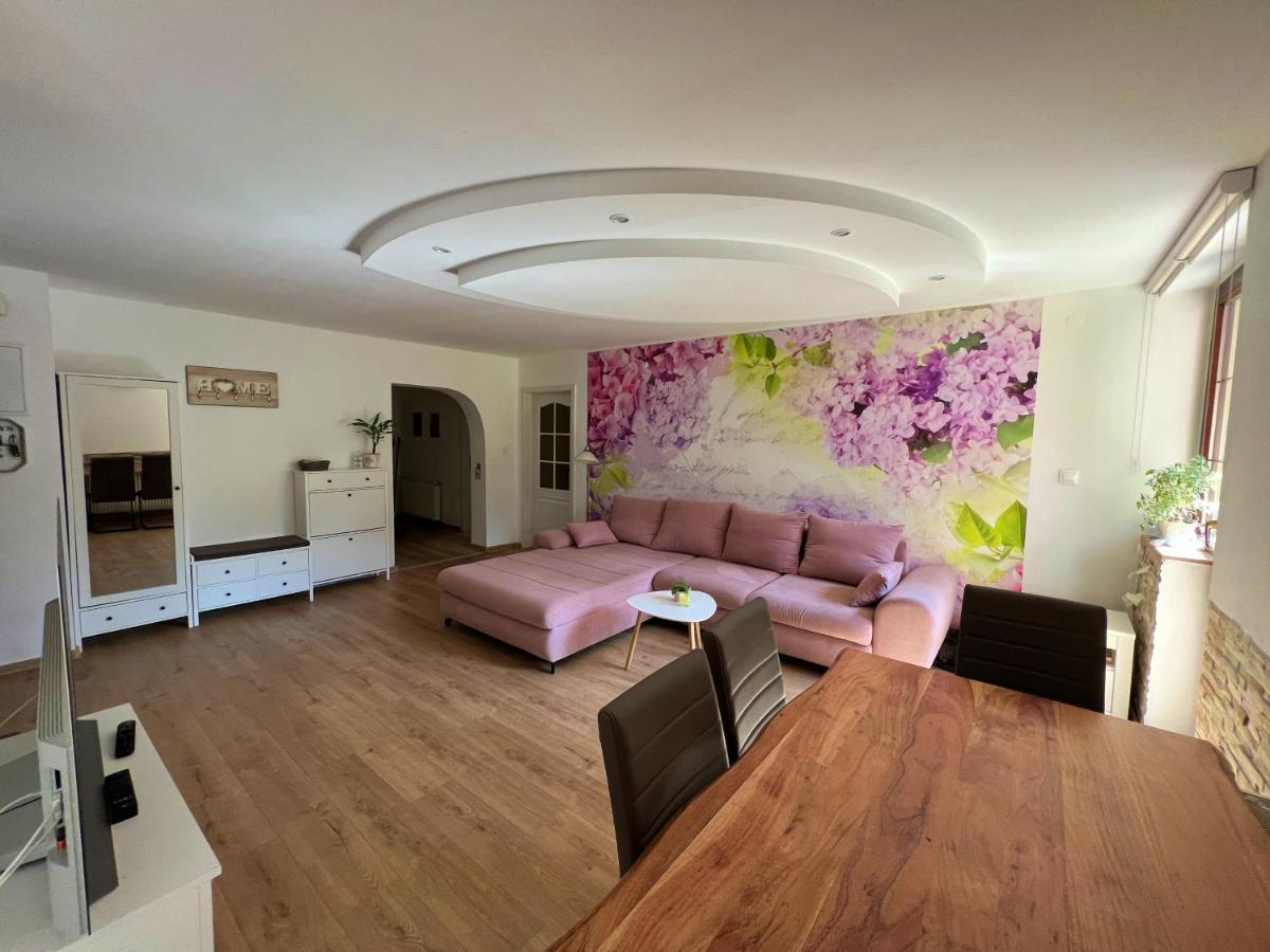 Apartman Stara Sasova 班斯卡-比斯特里察 外观 照片
