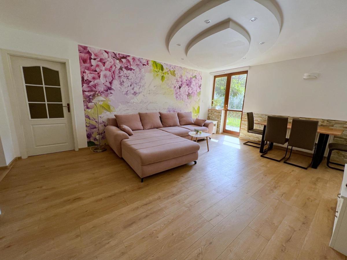 Apartman Stara Sasova 班斯卡-比斯特里察 外观 照片